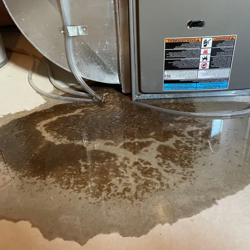 Pipe Burst and Leak Restoration in Girdwood, AK