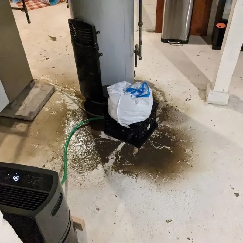 Sewage Backup Cleanup Service in Girdwood, AK